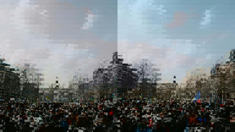 Residents Rally to Save Centuries-Old Oak From Housing Development